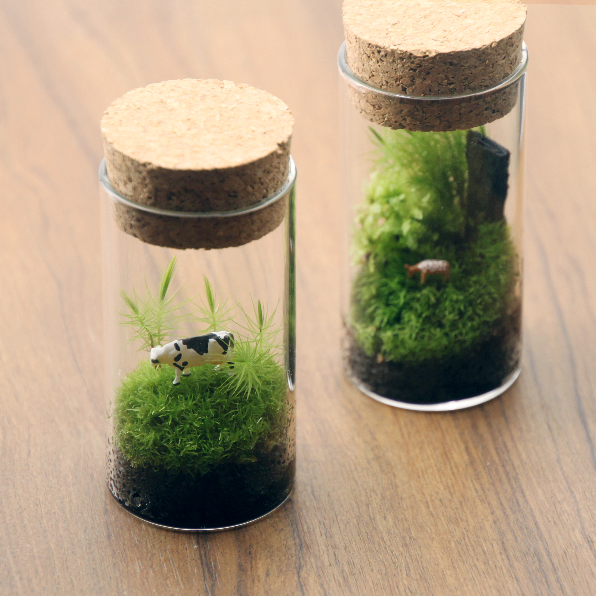 苔テラリウム２個セット のどかな牧場と苔の森